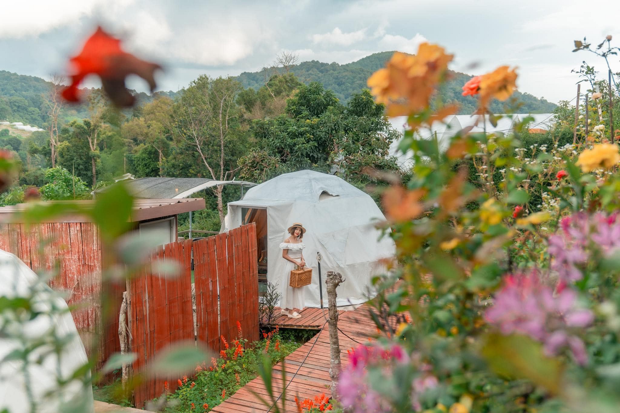 Dome Tent